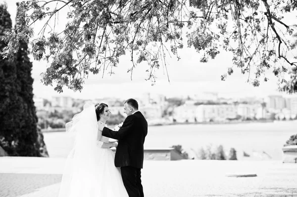 Wedding couple stay under tree background city lake. Black and w — Stock Photo, Image