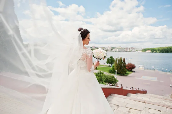 Alegre morena noiva com longo véu contra azul céu com am — Fotografia de Stock