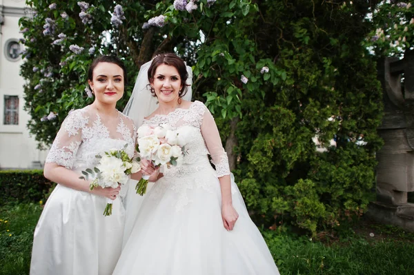 Невеста с подружкой невесты смотрит в камеру рядом с лиловым деревом . — стоковое фото