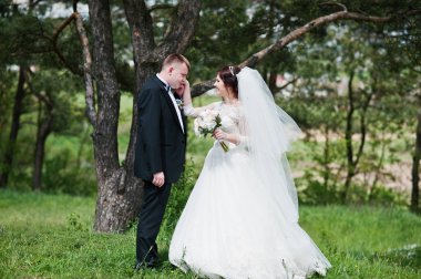 Elegance düğün çifte onların gün arka plan çam ormanı. Hap'ı