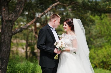 Elegance düğün çifte onların gün arka plan çam ormanı. Hap'ı