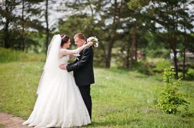 Elegance düğün çifte onların gün arka plan çam ormanı. Hap'ı