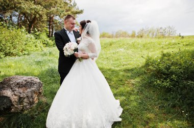 Elegance düğün çifte onların gün arka plan çam ormanı. Hap'ı