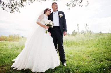 Elegance düğün çifte onların gün arka plan çam ormanı. Hap'ı