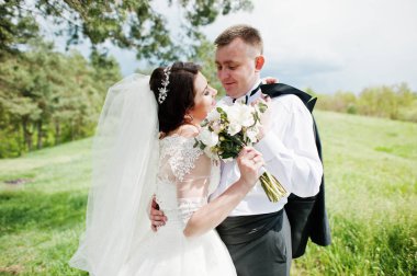 Elegance düğün çifte onların gün arka plan çam ormanı. Hap'ı