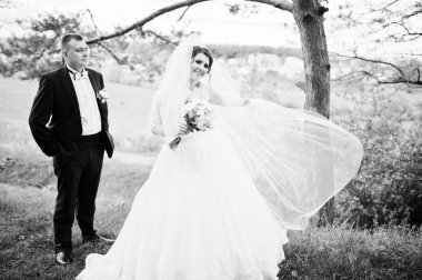 Elegance düğün çifte onların gün arka plan çam ormanı. Hap'ı