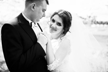 Portre düğün çift aşık kapatın. Siyah ve beyaz pho