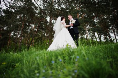 Elegance düğün çifte onların gün arka plan çam ormanı. Hap'ı