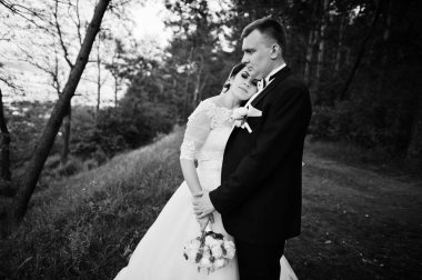 Elegance düğün çifte onların gün arka plan çam ormanı. Hap'ı