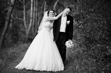 Elegance düğün çifte onların gün arka plan çam ormanı. Hap'ı