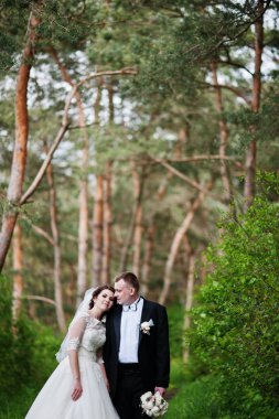 Elegance düğün çifte onların gün arka plan çam ormanı. Hap'ı