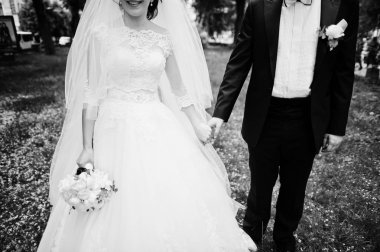 Onların düğün günü elini tutarak yeni evliler. Siyah ve beyaz pho