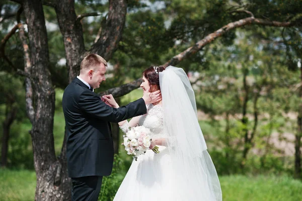 Pareja de boda elegante en su bosque de pinos de fondo día. Hap. — Foto de Stock