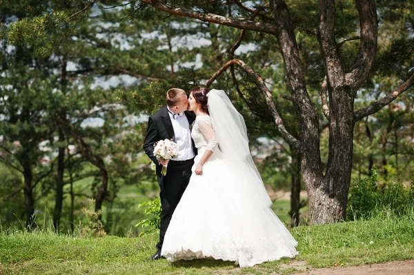 Élégance couple de mariage à leur forêt de pins de fond jour. Hap ! — Photo
