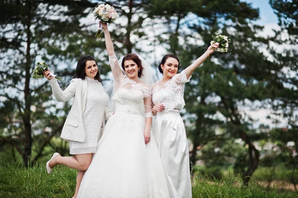 Szép menyasszony fehér ruhák a koszorúslányok, a csokrok — Stock Fotó