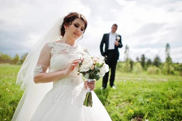 Svatební pár na jejich den elegance pozadí borovým lesem. HAP — Stock fotografie