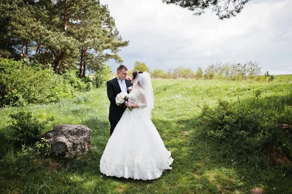 Элегантная свадебная пара в их день фоновый сосновый лес. Хэп — стоковое фото