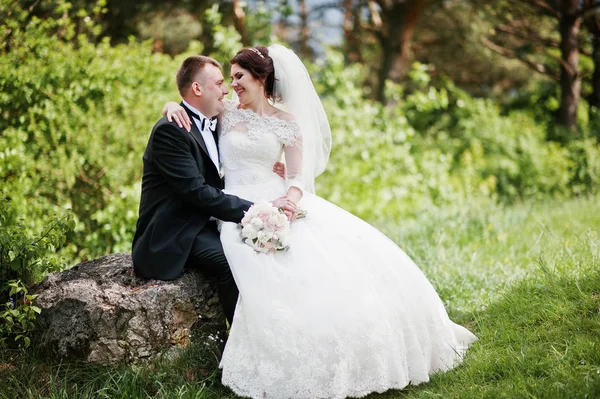 Υπέροχο γαμήλιο ζεύγος κάθεται σε μεγάλο πέτρινο φόντο, όμορφη — Φωτογραφία Αρχείου