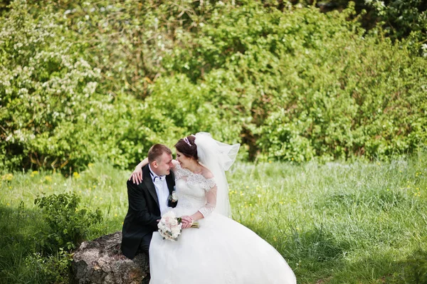 Υπέροχο γαμήλιο ζεύγος κάθεται σε μεγάλο πέτρινο φόντο, όμορφη — Φωτογραφία Αρχείου