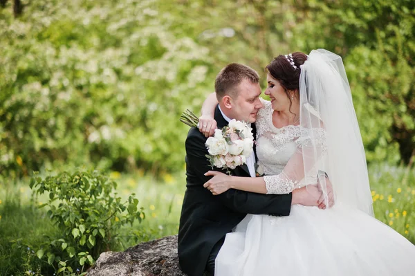 Hermosa pareja de boda sentada sobre un gran fondo de piedra hermosa — Foto de Stock