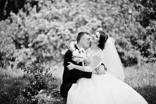 Büyük taş arka plan üzerinde güzel oturan güzel düğün Çift — Stok fotoğraf