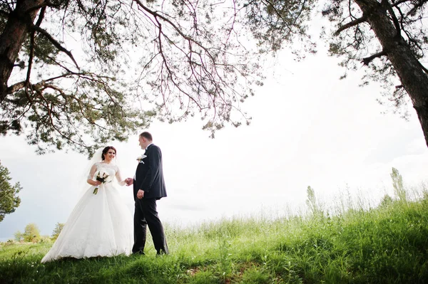 Casal de casamento elegante em seu dia floresta de pinheiros de fundo. Hap — Fotografia de Stock
