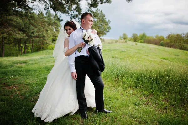 Pareja de boda elegante en su bosque de pinos de fondo día. Hap. —  Fotos de Stock