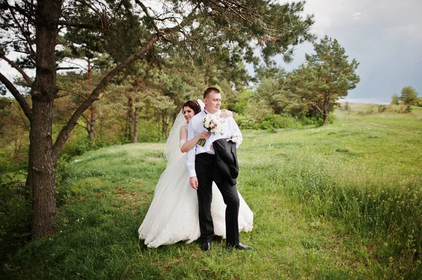 Elegance düğün çifte onların gün arka plan çam ormanı. Hap'ı — Stok fotoğraf