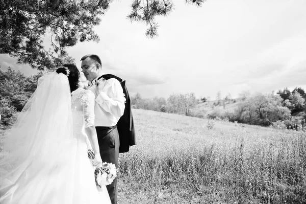 Елегантна весільна пара на їхньому денному фоні сосновий ліс. Щасливий — стокове фото