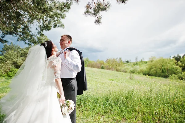 Casal de casamento elegante em seu dia floresta de pinheiros de fundo. Hap — Fotografia de Stock