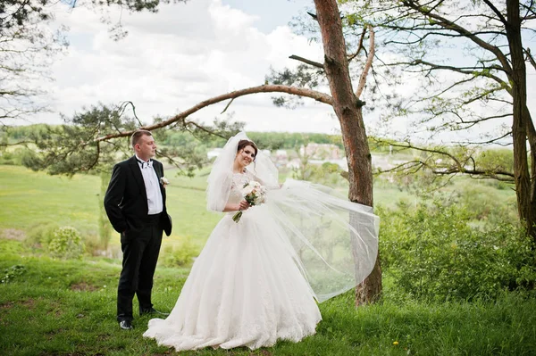Pareja de boda elegante en su bosque de pinos de fondo día. Hap. —  Fotos de Stock