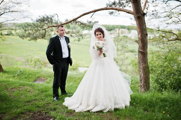 Élégance couple de mariage à leur forêt de pins de fond jour. Hap ! — Photo