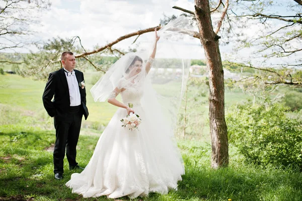 Pareja de boda elegante en su bosque de pinos de fondo día. Hap. —  Fotos de Stock