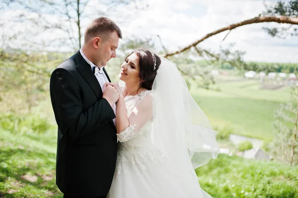 Pareja de boda elegante en su bosque de pinos de fondo día. Hap. — Foto de Stock