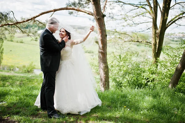 Elegance wedding couple at their day background pine forest. Hap — Stock Photo, Image