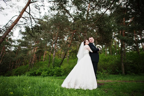 背景の日の松林で優雅な結婚式のカップル。Hap — ストック写真