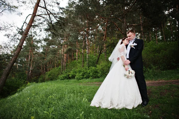Pareja de boda elegante en su bosque de pinos de fondo día. Hap. —  Fotos de Stock