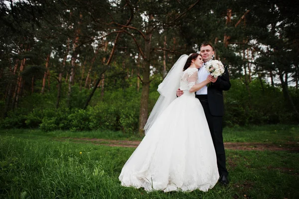 Para ślub elegancja w ich dzień w tle lasu sosnowego. HAP — Zdjęcie stockowe