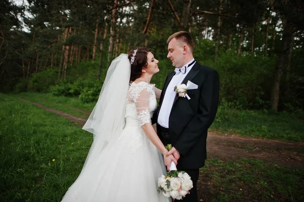 Ζευγάρι γάμος κομψότητα τους ημέρα φόντο πευκοδάσος. HAP — Φωτογραφία Αρχείου