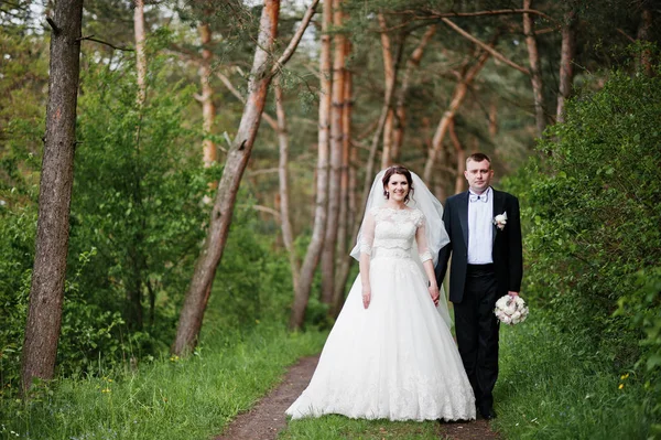 Pareja de boda elegante en su bosque de pinos de fondo día. Hap. —  Fotos de Stock