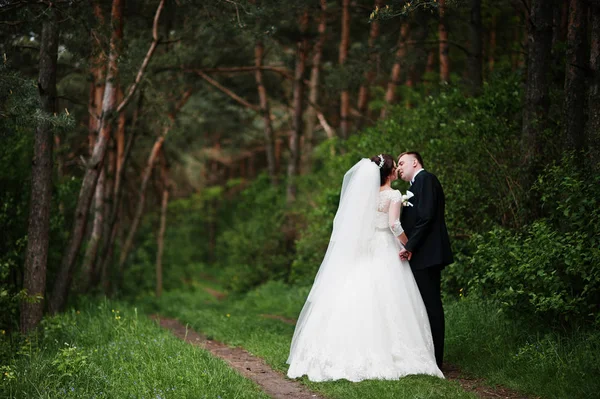 Elegantie bruidspaar op hun dag achtergrond dennenbos. VA. — Stockfoto