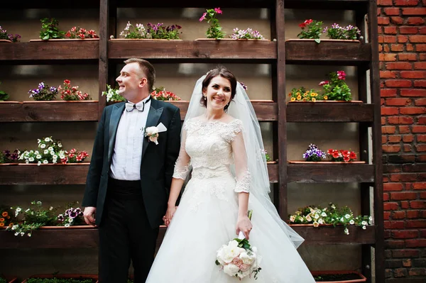 Piękny ślub para zatrzymać w tle ściany z kwiatami na po — Zdjęcie stockowe