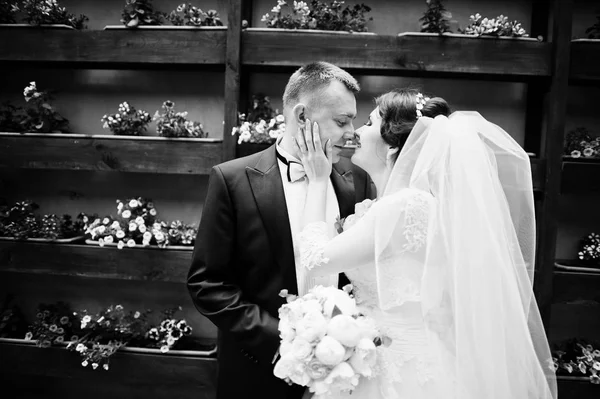 Güzel düğün çift arka plan duvar po çiçekler ile kal