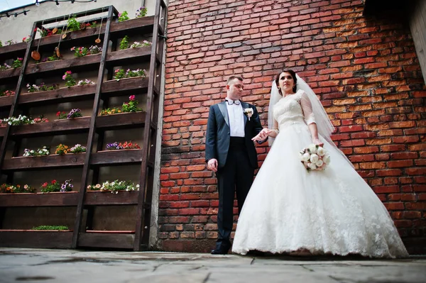 Piękny ślub para zatrzymać w tle ceglany mur. — Zdjęcie stockowe