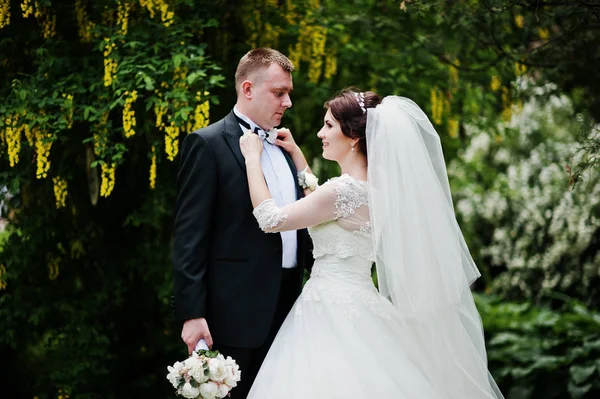 Wedding couple in love background tree with yellow pods. — Stock Photo, Image