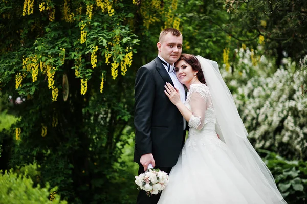 Matrimonio coppia in amore albero di sfondo con baccelli gialli . — Foto Stock