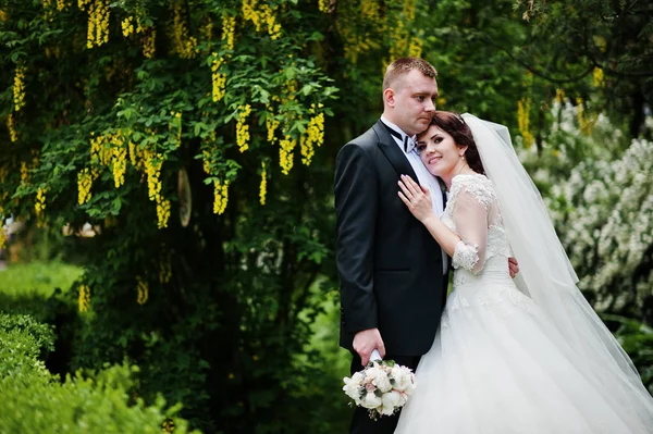 Svatební pár v lásce pozadí stromu s žluté lusky. — Stock fotografie