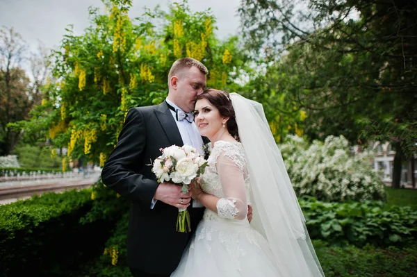 Couple de mariage en amour arbre de fond avec des gousses jaunes . — Photo