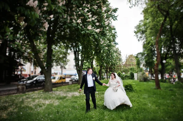Bruidspaar in liefde achtergrond boom met gele peulen. — Stockfoto