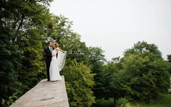 Abrazando pareja de boda en el amor en el tiempo nublado al aire libre . —  Fotos de Stock